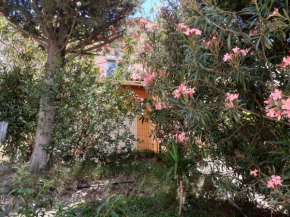 Bel appartement bord de mer
